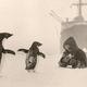 Illustration for article titled Strange Historic Photos From Antarctica and Other Kingdoms of Ice